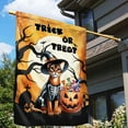 thumbnail image 3 of Trick or Treat Abyssinian Needs Candy Happy Halloween Night House Flag 28x40in Double Sided Cat Lover Kitten Owner Gifts Outdoor Decor - 02020, 3 of 5