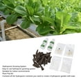 thumbnail image 3 of Garden Grow Anything Kit, Professional Fertilizer 50pcs Growing Sponges Grow Anything Kit  For Indoor Garden, 3 of 6