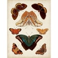 thumbnail image 3 of Vision Studio 12x14 Black Modern Framed Museum Art Print Titled - Butterflies Displayed II, 3 of 5