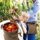 thumbnail image 3 of Forraje De Lona Bolsa De Forraje Multiusos Bolsa De Almacenamiento Impermeable Para Senderismo Playa Camping Speravity HA039823-01, 3 of 6