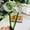 Green, variant on Mouth Blown Glass Cooking Ladle Long Handle for Punch Soup Sauce Egg Kitchen Red