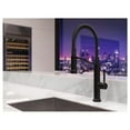 thumbnail image 3 of Pfister GT529-BRUB Bruton Culinary Single-Handle Pull Down Sprayer Kitchen Faucet in Matte Black, 3 of 4
