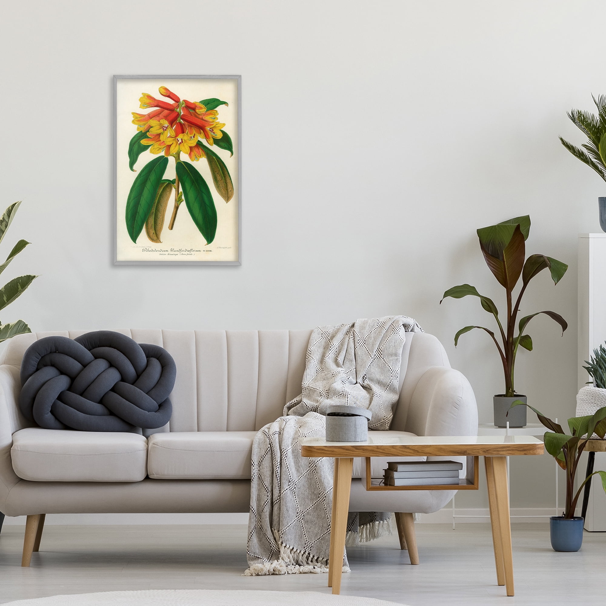 Stupell Industries Orange Yellow Rhododendron Gray Framed Giclee Art, design by Print Collection