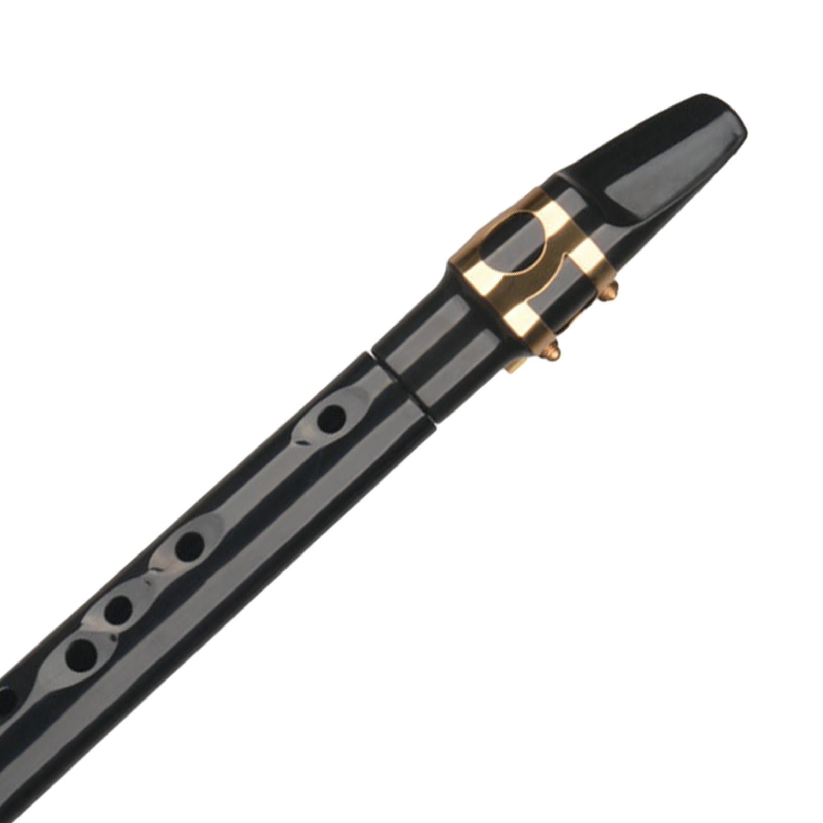 LeeQinersw Mini Pocket Saxophone Kits with Carring Bag Easy to Play Musical Instruments for Black