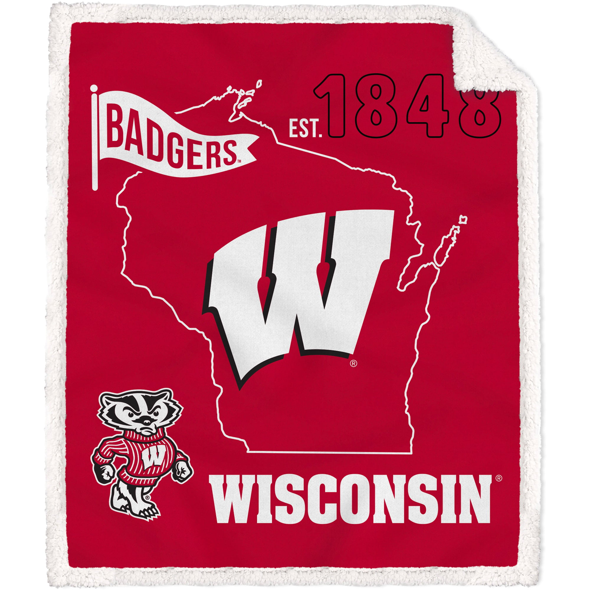Team Color Logo Brands NCAA Wisconsin Badgers Flat Coozie One Size 