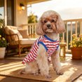 thumbnail image 7 of Dmlowu 4th of July Patriotic Dog Dress, Red White Blue Star Pattern Dog Clothes, Breathable Summer Party Outfit for Pets (5.5-8.8 lbs), 4th of July Decorations, 7 of 7