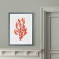 thumbnail image 4 of Coral Kelp II - Barnwood Framed - 23 x 31 - Grey, 4 of 4