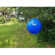 Bug Ball 3 Pack Deluxe Sampler Kit Complete - Biting Fly and Insect Trap