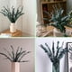 thumbnail image 5 of Paquete de 10 Eucaliptos Secos Naturales, Ramas de Eucalipto Frescas Conservadas para Arreglos Florales Bodas DecoracióN del Hogar, 5 of 5