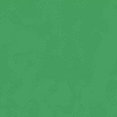 thumbnail image 4 of Playera Blusa Con Frase Existe Una Mujer Perfecta, Ella Es Mi Mama Dia De Las Madres 10 De Mayo Color Verde Talla Grande Marca Emil SaEs, 4 of 4