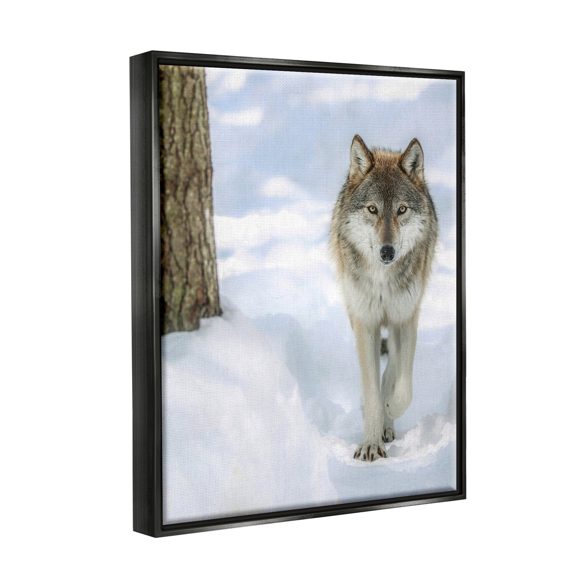Stupell Industries Wild Wolf Winter Snow Photography Animals & Insects Photography Black Floater Framed Art Print Wall Art