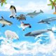 thumbnail image 1 of Gwong Juguete Ocean Animal Toy Encantador Apariencia Anti-Hit Color Bright Color Miniatura Mar Animal Figuras para la colección Gwong 30012128, 1 of 6