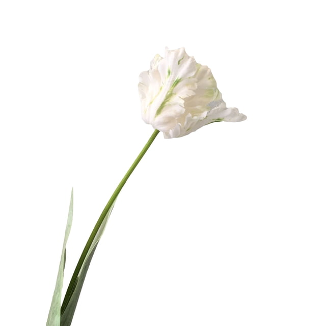 1 pieza de flor artificial vívida decorativa de 68 cm, tulipán loro 3D de tacto real, decoración de flores falsas para el hogar