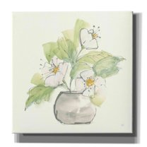 Epic Graffiti 'Plant Poppy I' by Chris Paschke, Giclee Canvas Wall Art, 26"x26"