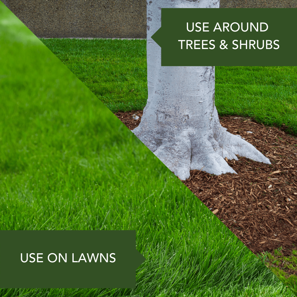 Imagen de producto 6