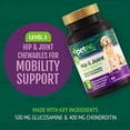 thumbnail image 2 of PetNC Natural Care Hip and Joint Health Advanced Chewables for Dogs, 45 Count, 2 of 5