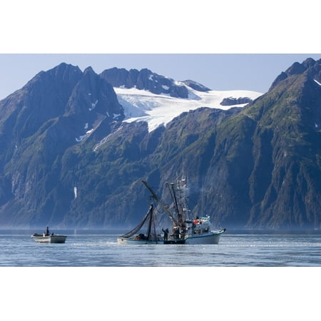 Commercial Fishing Boat Malamute Kid Seining For Silver Salmon Port Valdez Prince William Sound Alaska