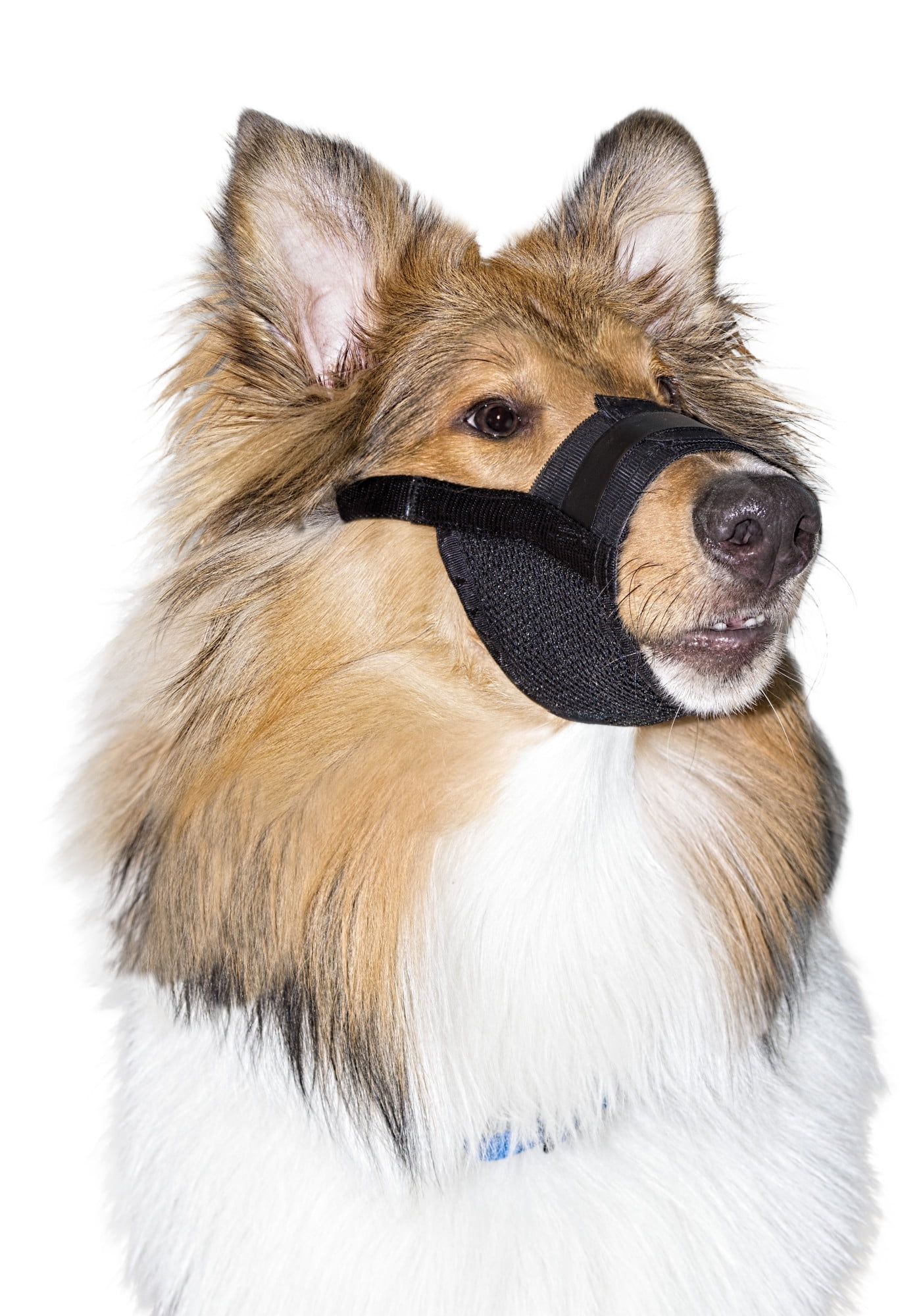 Premier Pet Dog Muzzle for Large Dogs - Padded Nylon for Safe, Comfortable Fit