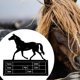 thumbnail image 1 of Placa con nombre para caballos shamjiam 25x27 cm, 1 of 8
