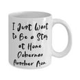 thumbnail image 2 of Useful Doberman Pinscher Dog Gifts, I Just Want to Be a Stay at Home Doberman Pinscher, Best 11oz Mug F Pet Lovers From Friends, 2 of 2