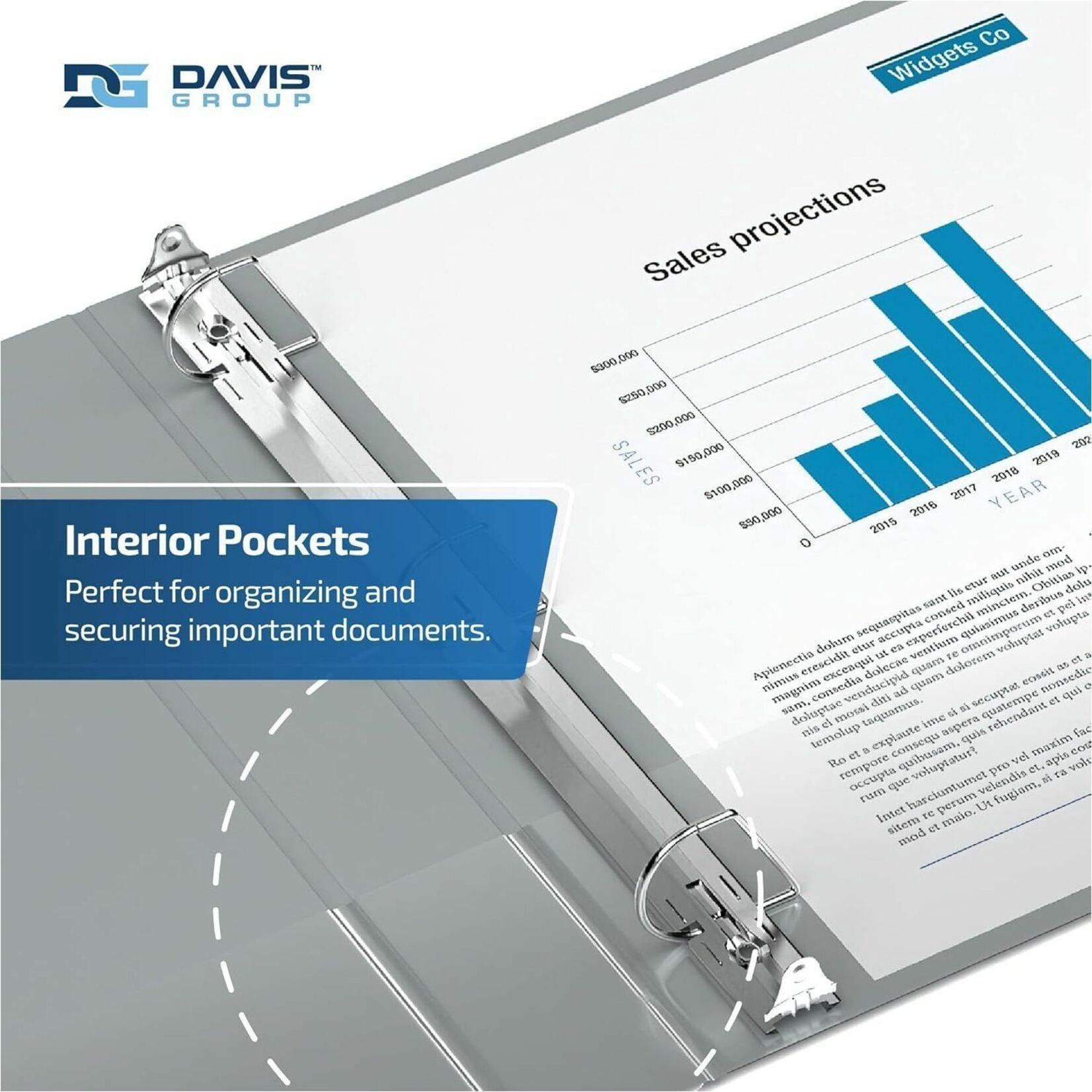 Davis Group Premium Economy, Angle D Ring, Binder, 6 Pack (Grey, 2")