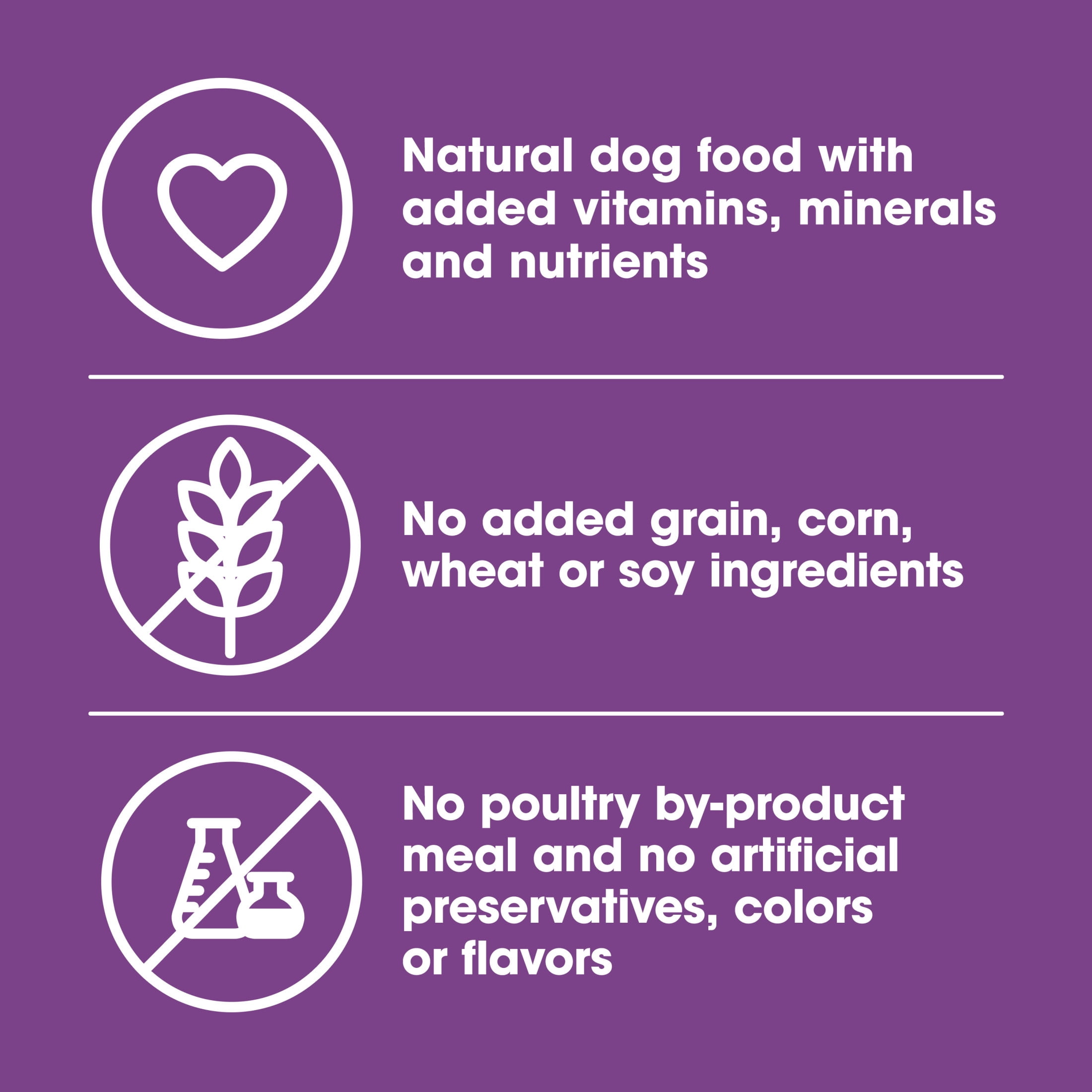 (6 pack) Nature's Recipe Grain Free Chicken & Lamb in Savory Broth Wet Dog Food, 2.75 oz Cup