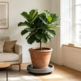 thumbnail image 4 of EGNMCR Décoration pour la Maison, Décoration de Pièce, Décoration Murale Support de Pot de Fleurs à Roulettes Robuste et Durable Support de Pot de Fleurs Roulant en Plastique Convient à une Utilisation Intérieure et Extérieure pour Pots de Fleurs Jardinières Palette en Plastique, 4 of 5