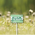 thumbnail image 3 of Eveokoki Yard of The Month Lawn Yard Sign 12" x 8" Aluminum Yard Signs with Metal Stakes, 3 of 6