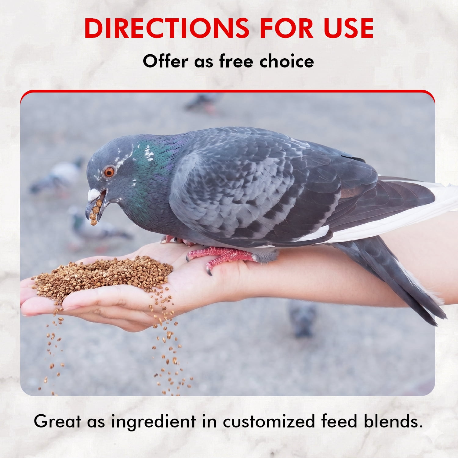 Morning Bird Pigeon Grit Bird Food with Minerals, 4.5 lbs (3-Pack, 1.5 lbs Each)