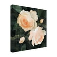 thumbnail image 2 of Emma Caroline 'Soft Garden Roses I' Canvas Art, 2 of 3