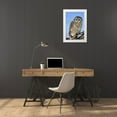 thumbnail image 3 of Welling, Dave 23x32 White Modern Wood Framed Museum Art Print Titled - CO, Barred owl perched on snowy branch, 3 of 4