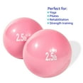 thumbnail image 3 of Weighted Exercise Toning Ball (Set of 2, Pink, 2.5 lb), 3 of 3