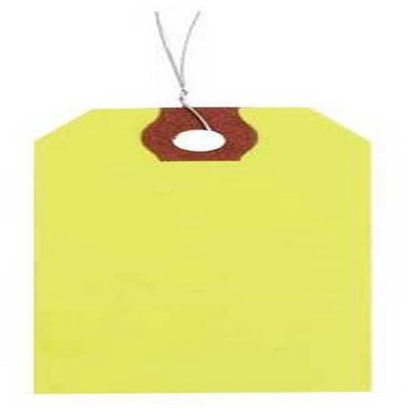 Manufacturer Varies Blank Shipping Tag,Paper,Colored,PK1000 4WLA1