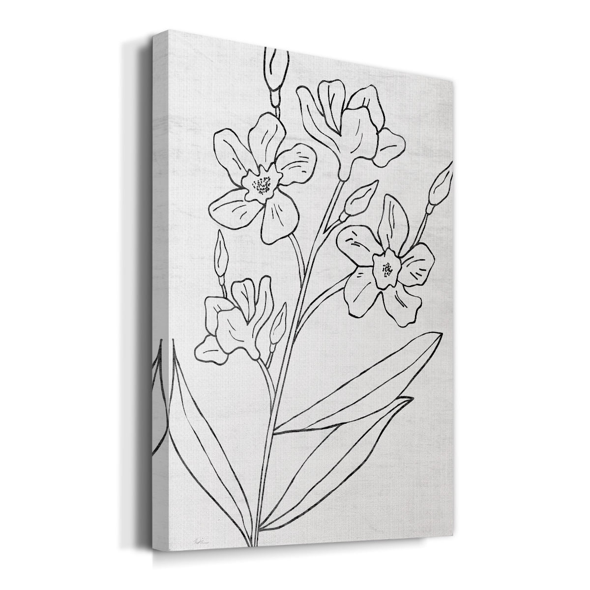 Botanical Sketch I Premium Gallery Wrapped Canvas - Ready to Hang