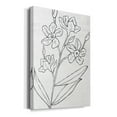 thumbnail image 2 of Botanical Sketch I Premium Gallery Wrapped Canvas - Ready to Hang, 2 of 9