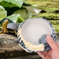 thumbnail image 3 of Convenient Reptile Bowl Wear-resistant Water Dish Decorative Water Bowl Reptile Accessory, 3 of 8