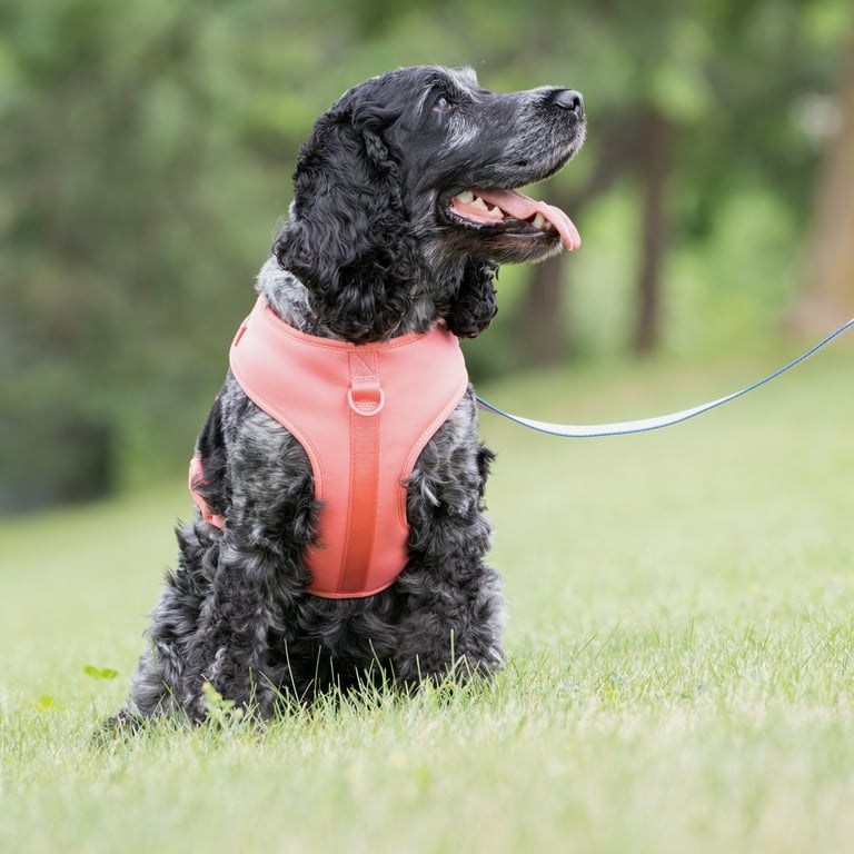 Vibrant Life Pink Adjustable Dog Harness, XS, Polyester & Spandex