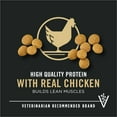 thumbnail image 3 of Purina Pro Plan Puppy Dry Dog Food for Large Dogs Under 2 Years, Real Chicken & Rice, 18 lb Bag, 3 of 13