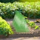 thumbnail image 2 of Toystoory 10 Uds ABS protección eficaz de las plantas con campanas de jardín adecuadas para todo tipo de plantas que ayudan al crecimiento Jardín y Patio, 2 of 6