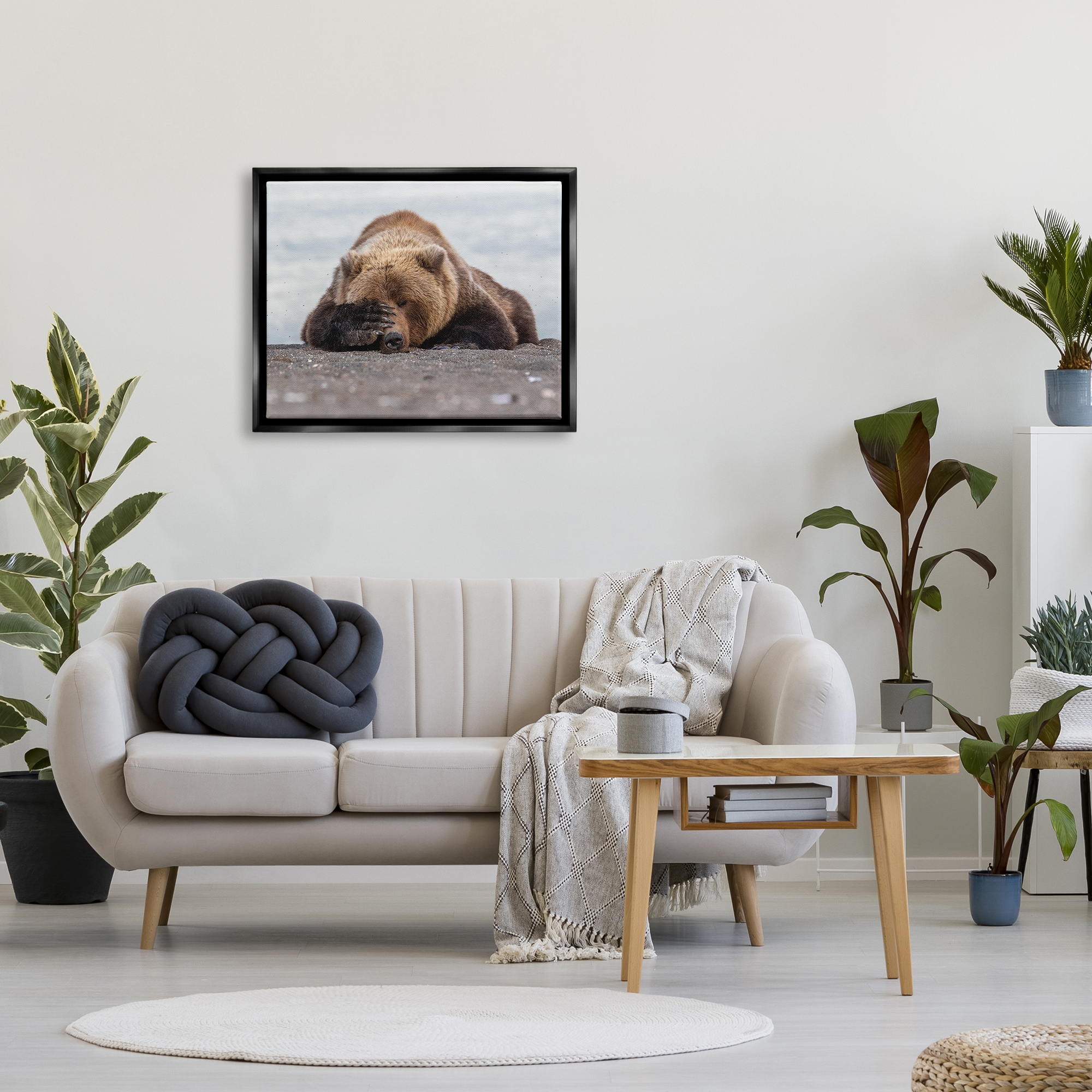 Stupell Industries Monday Blues Bear Animals & Insects Photography Black Floater Framed Canvas Art Print Wall Art, 31 x 25
