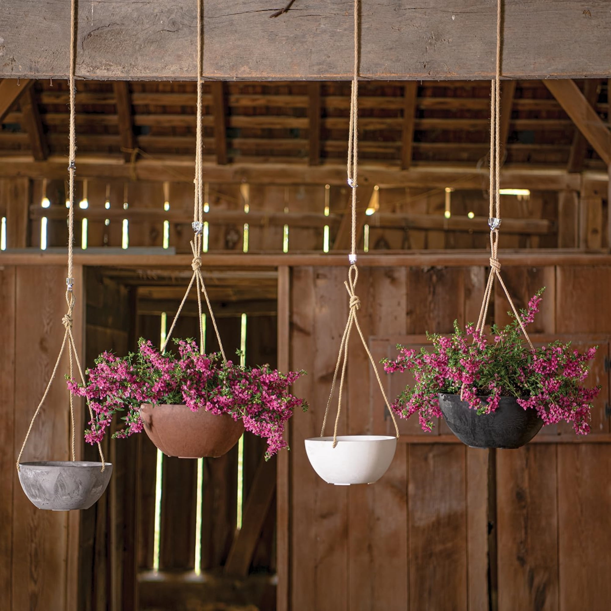 Root & Vessel Napa Hanging Bowl Planter, Gray, 10"