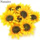 thumbnail image 1 of 6 piezas 14 cm cabeza de girasol grande flores de seda artificiales para Diy Scrapbooking corona artesanía hogar boda decoración falsa Flo LingWen 1327534326239, 1 of 1