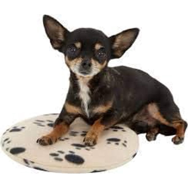 chihuahua heating pad