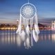thumbnail image 1 of Colgante Ornamento Casero Decoración Casa Pared Puerta de CUTICAT Dream Catcher, 1 of 8