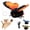 Orange, variant on Wing Hunt Cat Toy, Interactive Flapping Butterfly Toy with Smart Sensing Motion for Cats