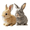 2PCS - D(Gray Yellow), variant on Bunby - My Realistic Bunny Toy, Interactive Bunny Toys - Jumping, Twitching, And Lighting Ears, Bunny Realistic Bunny Toy, Bundy Realistic Bunny