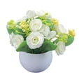 thumbnail image 2 of Flores Artificiales en Maceta | Arreglo Floral Seco Simulado | Decoración Interior para el Hogar | Mesa de Comedor, Sala de Estar, Mueble para TV | PE Poliéster | 15x12x12 cm | 1 Pieza | Beige, 2 of 6