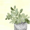 thumbnail image 2 of Loreth, Lanie 15x15 White Modern Wood Framed Museum Art Print Titled - Sunny Day Potted Plant II, 2 of 4
