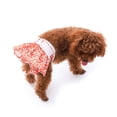 thumbnail image 5 of Zeeyh Washable Female Dog Diapers Absorbent Reusable Female Dog Diapers with Heat for Absorbent Dogs and Cute Puppy Diapers for Dogs with Heat or Excitable Urination,tropical fruit L, 5 of 9