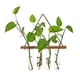 thumbnail image 5 of Florero colgante de tubos de ensayo perfecl Marron oscuro, 5 of 8